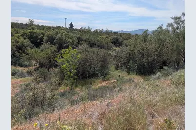 37120 Woodview, Anza, CA 92539 - Photo 10