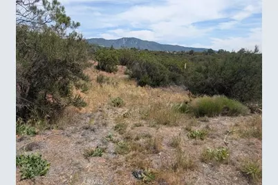 37120 Woodview, Anza, CA 92539 - Photo 14