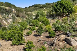 38942 Jubilee Way, Fallbrook, CA 92028 - Photo 48