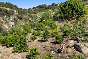 38942 Jubilee Way, Fallbrook, CA 92028 - Photo 48