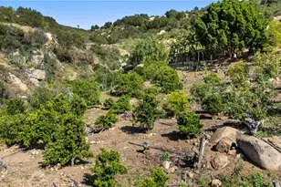 38942 Jubilee Way, Fallbrook, CA 92028 - Photo 16