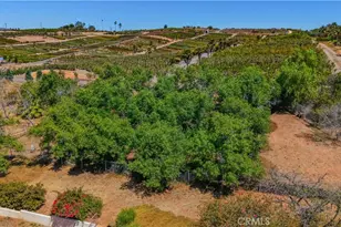 8258 Via Urner Way, Bonsall, CA 92003 - Photo 38