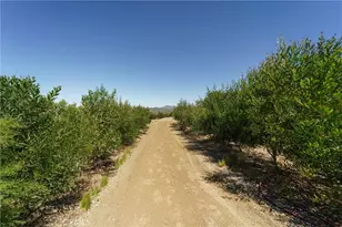 40230 Crazy Horse Canyon Rd, Aguanga, CA 92536 - Photo 52
