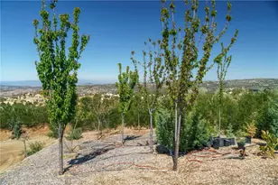 40230 Crazy Horse Canyon Rd, Aguanga, CA 92536 - Photo 64