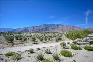 784 Flamingo Way, Palm Springs, CA 92262 - Photo 30