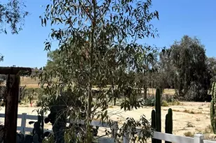 31895 Nicolas, Temecula, CA 92591 - Photo 10