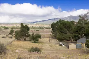 39396 Cary, Anza, CA 92539 - Photo 38