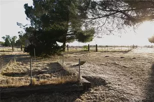 39396 Cary, Anza, CA 92539 - Photo 32