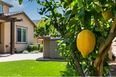 25952 Alamo Court, Menifee, CA 92584 - Photo 38