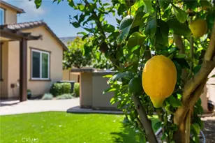 25952 Alamo Ct, Menifee, CA 92584 - Photo 38