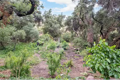 42185 Oak Canyon, Hemet, CA 92544 - Photo 24