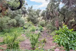 42185 Oak Canyon, Hemet, CA 92544 - Photo 24