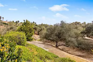 3221 Integrity, Fallbrook, CA 92028 - Photo 68