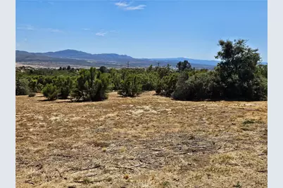 56795 Mount, Anza, CA 92539 - Photo 8
