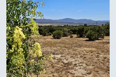 56795 Mount, Anza, CA 92539 - Photo 6
