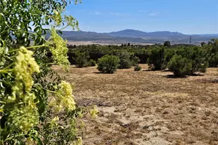 56795 Mt, Anza, CA 92539 - Photo 6
