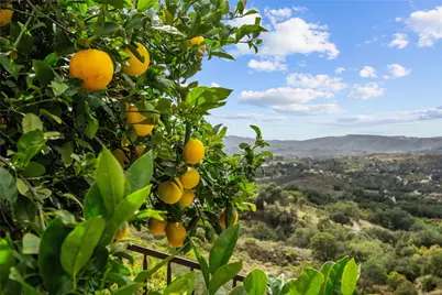 46480 Via Vaquero, Temecula, CA 92590 - Photo 68