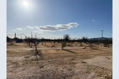 41854 Silver Valley, Newberry Springs, CA 92365 - Photo 16