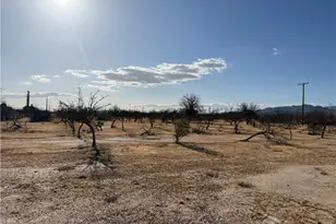 41854 Silver Valley, Newberry Springs, CA 92365 - Photo 16
