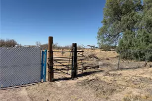 41854 Silver Valley, Newberry Springs, CA 92365 - Photo 2
