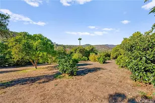 3945 Pala Mesa, Fallbrook, CA 92028 - Photo 74
