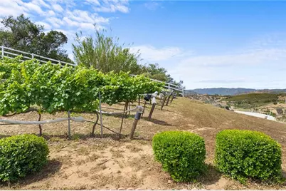 42371 Via De Los Fideos, Temecula, CA 92590 - Photo 62