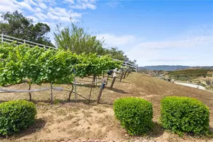 42371 Via De Los Fideos, Temecula, CA 92590 - Photo 62