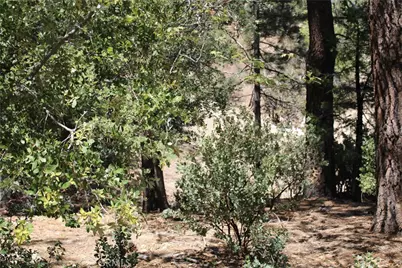 8 Big Rock Drive, Idyllwild, CA 92549 - Photo 12