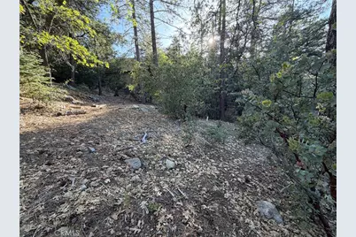 8 Big Rock Drive, Idyllwild, CA 92549 - Photo 28