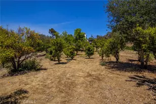 42525 Calle Capistrano, Temecula, CA 92590 - Photo 56