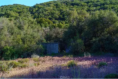 60861 Burnt Valley Road, Anza, CA 92539 - Photo 50