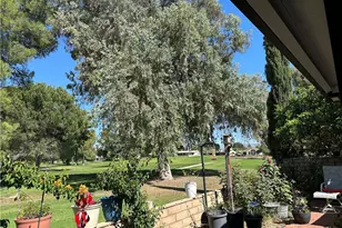 1468 Willow Leaf, Hemet, CA 92545 - Photo 52