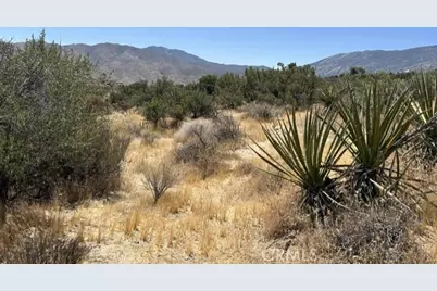7 Carrizo Road, Mountain Center, CA 92561 - Photo 4