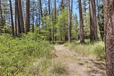 53570 Idyllbrook Drive, Idyllwild, CA 92549 - Photo 50