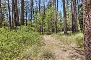 53570 Idyllbrook Dr, Idyllwild, CA 92549 - Photo 50