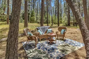 53570 Idyllbrook Dr, Idyllwild, CA 92549 - Photo 60