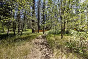 53570 Idyllbrook Dr, Idyllwild, CA 92549 - Photo 58