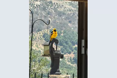 3252 Via Altamira, Fallbrook, CA 92028 - Photo 30