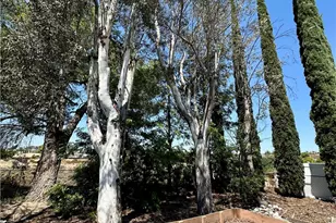 38171 Via La Colina, Murrieta, CA 92563 - Photo 6