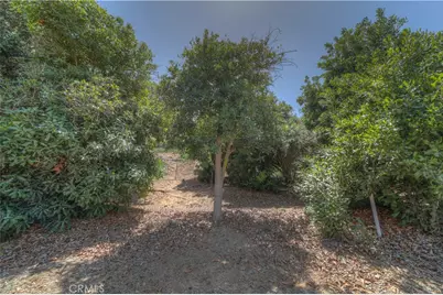 897 Leland Place, El Cajon, CA 92019 - Photo 38