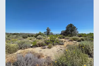 37310 Bohlen, Anza, CA 92539 - Photo 10
