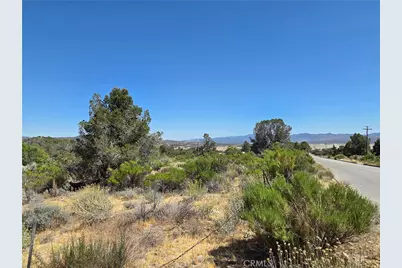 37310 Bohlen, Anza, CA 92539 - Photo 8