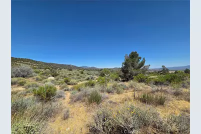37310 Bohlen, Anza, CA 92539 - Photo 4