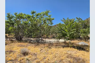 37210 Bohlen, Anza, CA 92539 - Photo 6