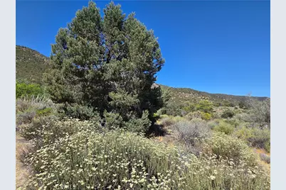 37210 Bohlen, Anza, CA 92539 - Photo 2