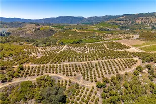 2526 Camaron, Temecula, CA 92590 - Photo 8