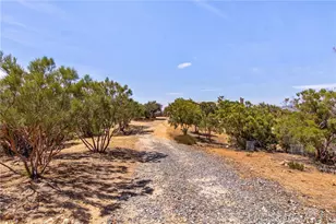 44980 Terwilliger, Anza, CA 92539 - Photo 60
