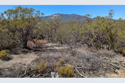 0 Howard Road, Anza, CA 92539 - Photo 16