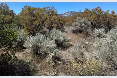 0 Pony Trail, Anza, CA 92539 - Photo 18