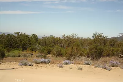 0 Pony Trail, Anza, CA 92539 - Photo 8